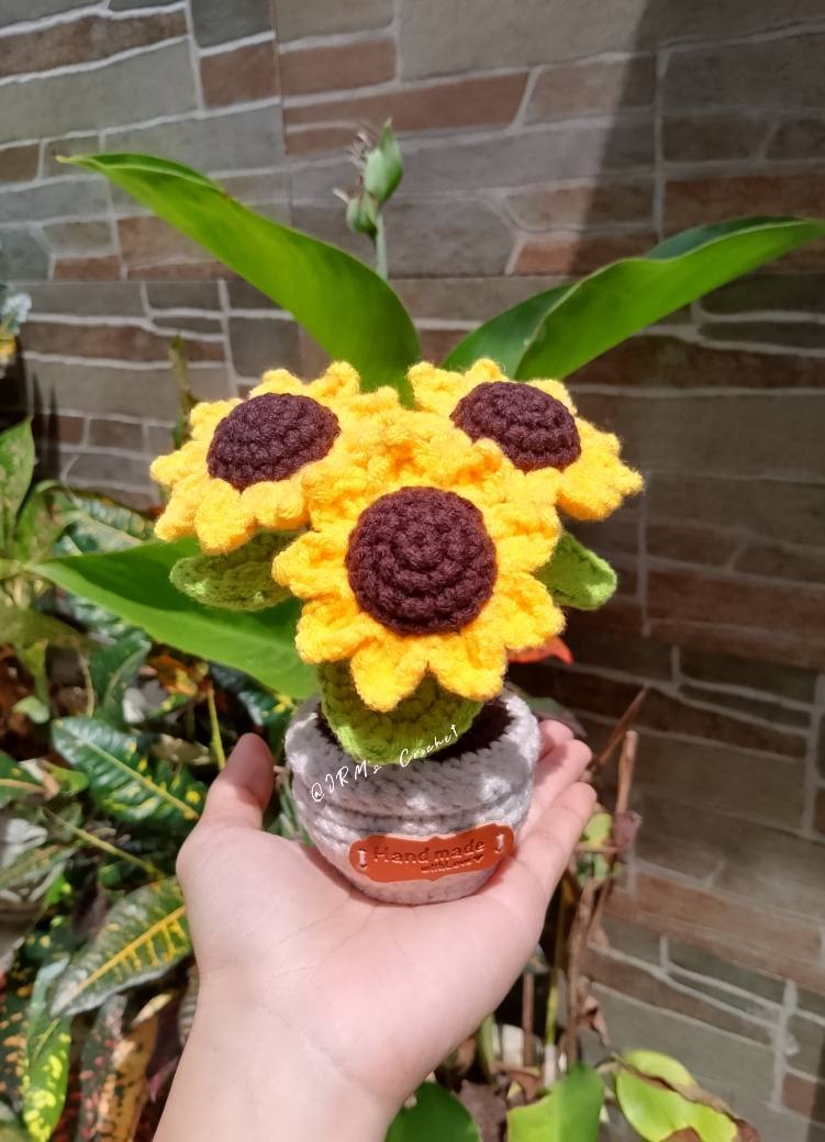 Potted Plants