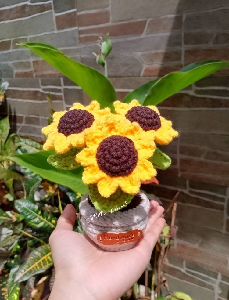 Sunflower Potted Plant